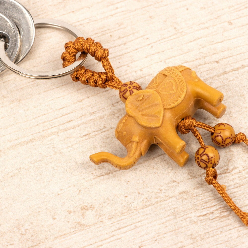 dd6cc953e2515222cc6418f285d49225